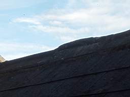 fkillineybeforeexternal 1455.jpg